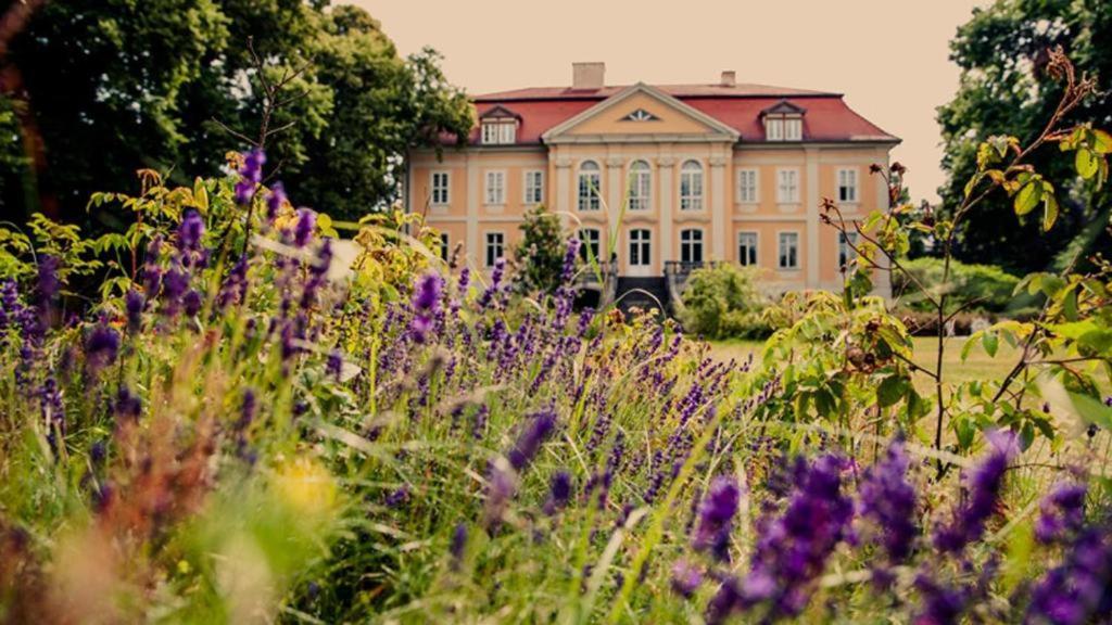 Schloss Stuelpe Lägenhet Stulpe Exteriör bild